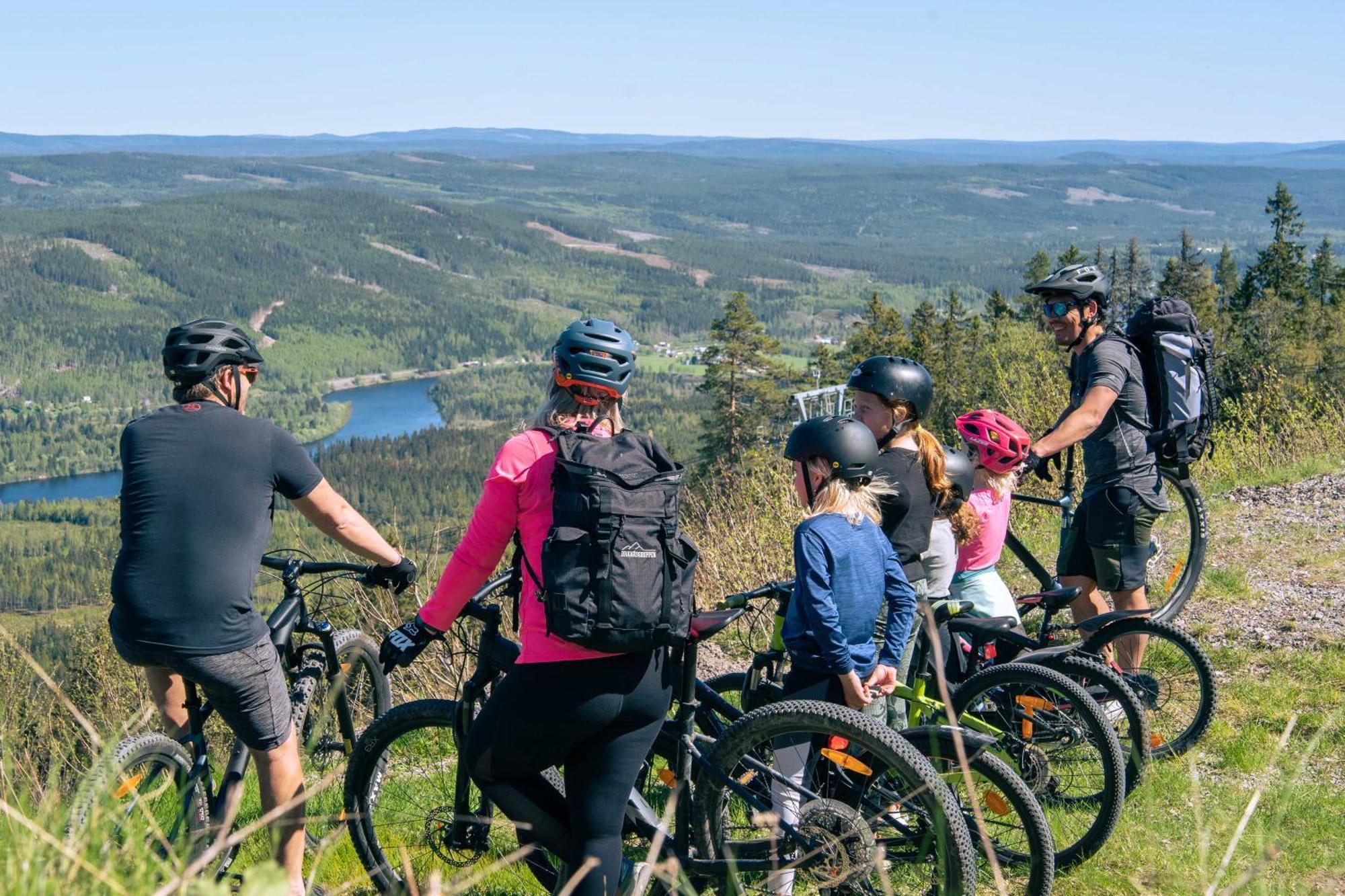 Lyxig Stuga Pa Branaesberget Syssleback Экстерьер фото